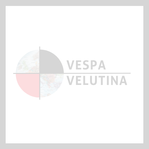 Velutina_Logo_quadrat_hintergrund